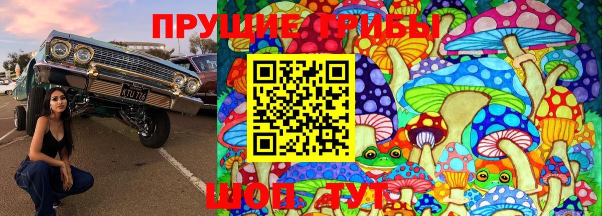 Галлюциногенные грибы Cubensis  Псилоцибиновые грибы прущие грибы  Вход с VPN  Рассказово 