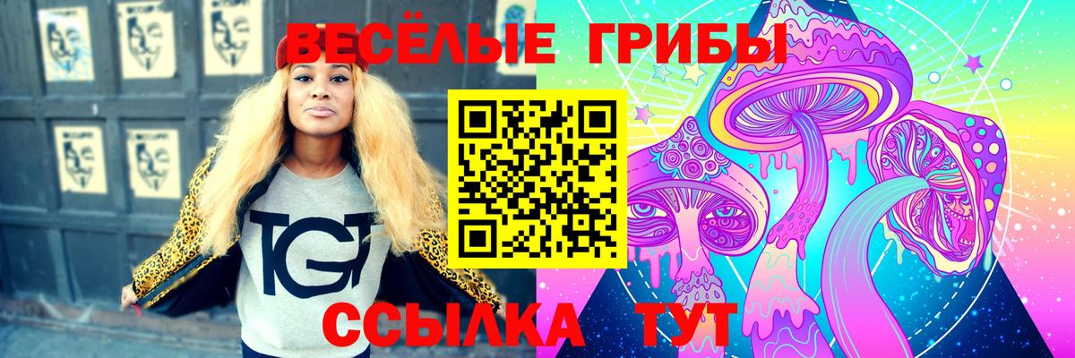 Псилоцибиновые грибы GOLDEN TEACHER Рассказово